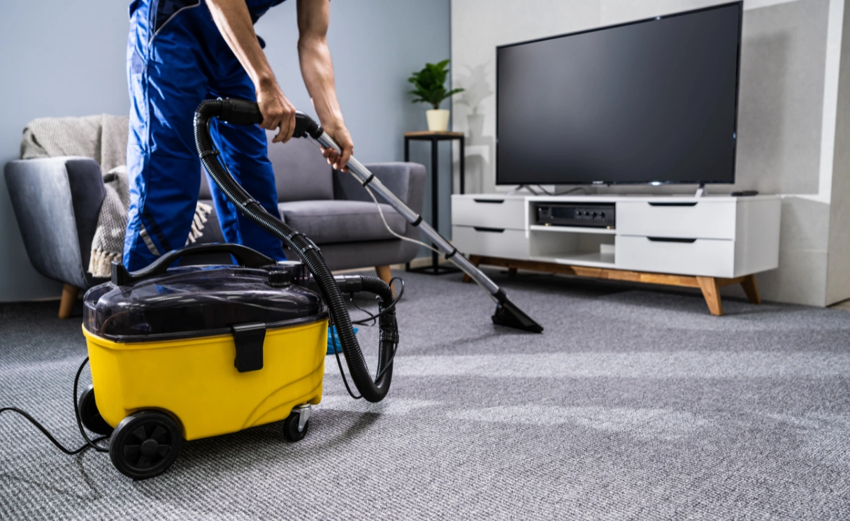 Extract Carpet Cleaning Hastings Contact Office